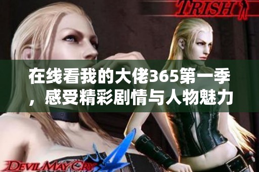 在线看我的大佬365第一季，感受精彩剧情与人物魅力