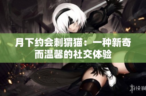 月下约会刺猬猫：一种新奇而温馨的社交体验