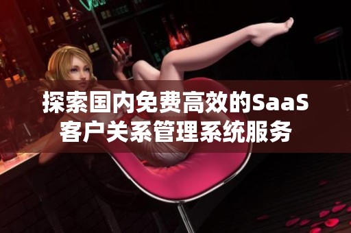 探索国内免费高效的SaaS客户关系管理系统服务