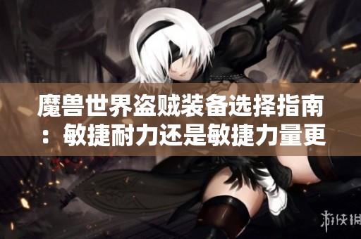 魔兽世界盗贼装备选择指南：敏捷耐力还是敏捷力量更适合你