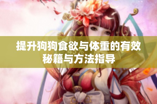 提升狗狗食欲与体重的有效秘籍与方法指导