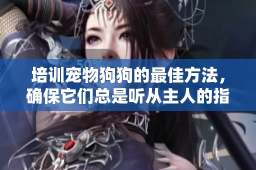 培训宠物狗狗的最佳方法，确保它们总是听从主人的指挥