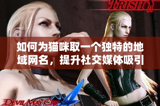 如何为猫咪取一个独特的地域网名，提升社交媒体吸引力