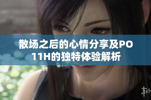 散场之后的心情分享及PO11H的独特体验解析