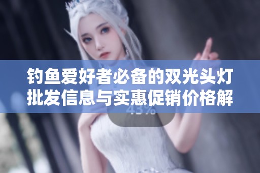 钓鱼爱好者必备的双光头灯批发信息与实惠促销价格解析