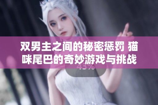 双男主之间的秘密惩罚 猫咪尾巴的奇妙游戏与挑战