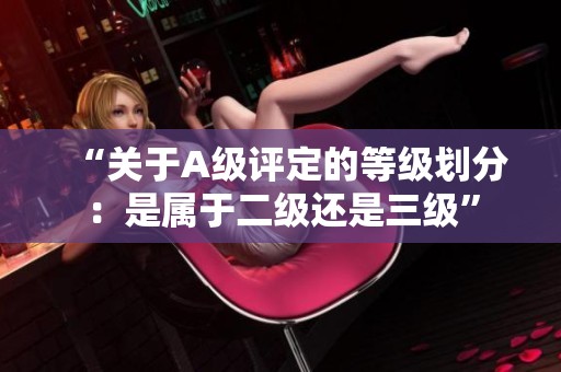 “关于A级评定的等级划分：是属于二级还是三级”