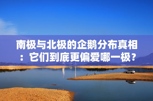 南极与北极的企鹅分布真相：它们到底更偏爱哪一极？