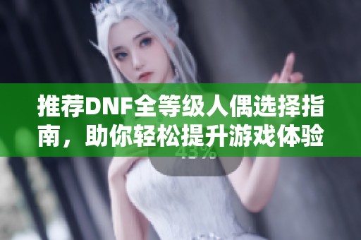 推荐DNF全等级人偶选择指南，助你轻松提升游戏体验