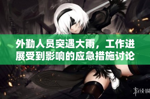 外勤人员突遇大雨，工作进展受到影响的应急措施讨论