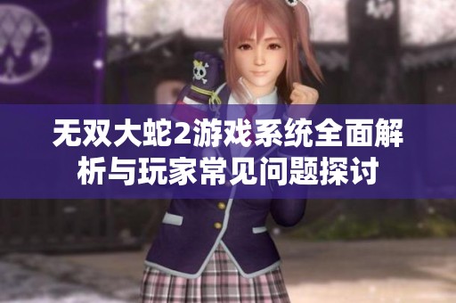 无双大蛇2游戏系统全面解析与玩家常见问题探讨