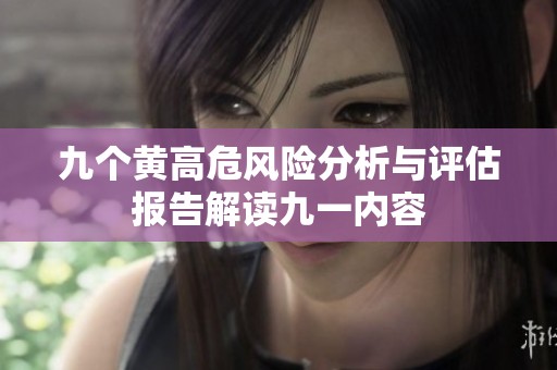 九个黄高危风险分析与评估报告解读九一内容