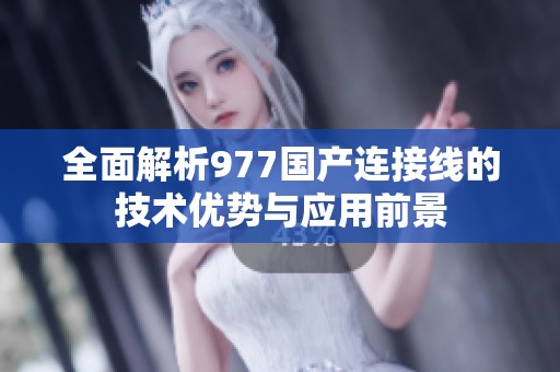 全面解析977国产连接线的技术优势与应用前景