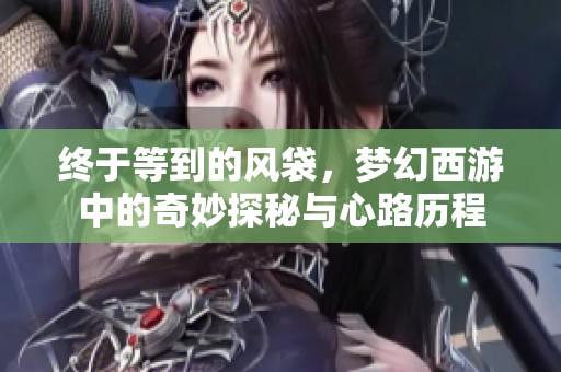 终于等到的风袋，梦幻西游中的奇妙探秘与心路历程