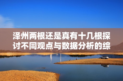 泽州两根还是真有十几根探讨不同观点与数据分析的综合研究