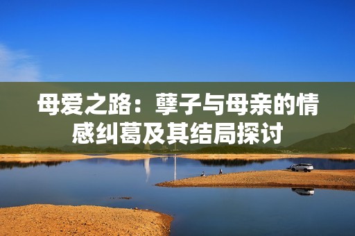 母爱之路：孽子与母亲的情感纠葛及其结局探讨