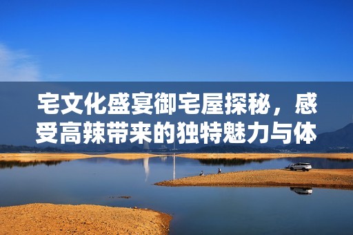 宅文化盛宴御宅屋探秘，感受高辣带来的独特魅力与体验