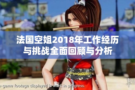 法国空姐2018年工作经历与挑战全面回顾与分析