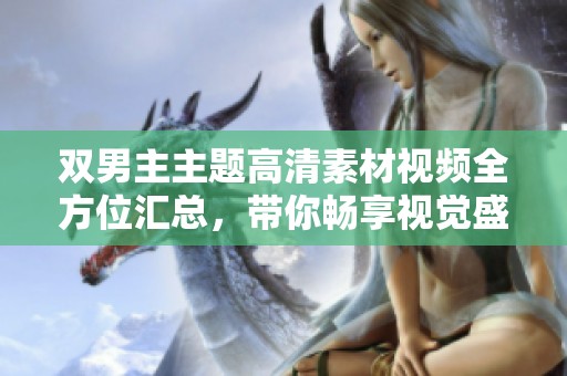 双男主主题高清素材视频全方位汇总，带你畅享视觉盛宴！