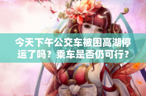 今天下午公交车被困高湖停运了吗？乘车是否仍可行？