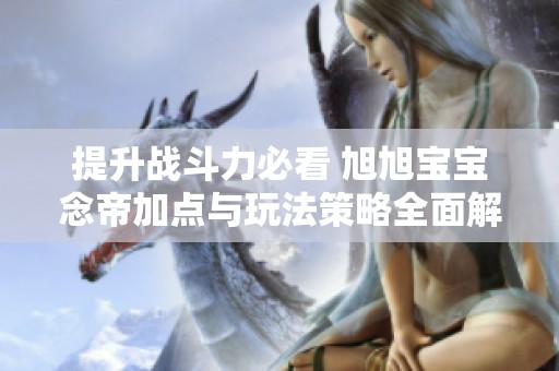 提升战斗力必看 旭旭宝宝念帝加点与玩法策略全面解析指南