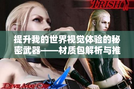 提升我的世界视觉体验的秘密武器——材质包解析与推荐