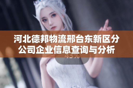 河北德邦物流邢台东新区分公司企业信息查询与分析