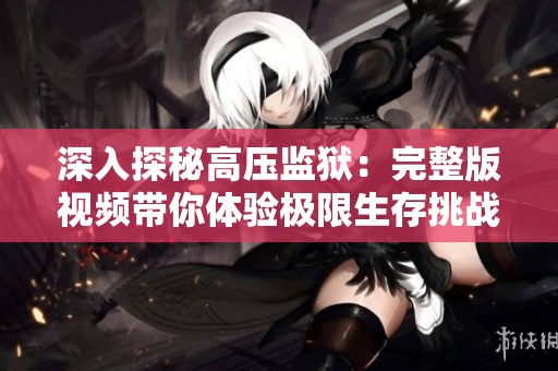 深入探秘高压监狱：完整版视频带你体验极限生存挑战与心理较量