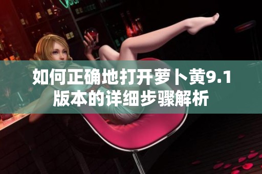 如何正确地打开萝卜黄9.1版本的详细步骤解析