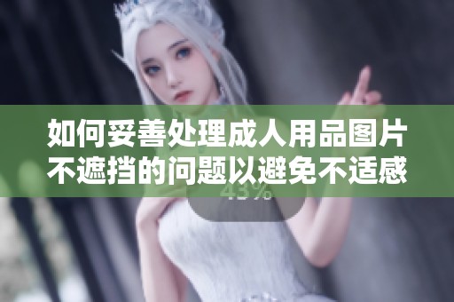 如何妥善处理成人用品图片不遮挡的问题以避免不适感