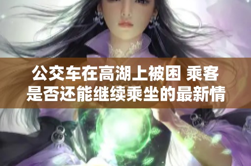 公交车在高湖上被困 乘客是否还能继续乘坐的最新情况