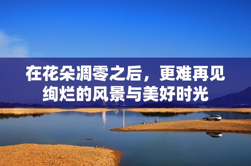 在花朵凋零之后，更难再见绚烂的风景与美好时光