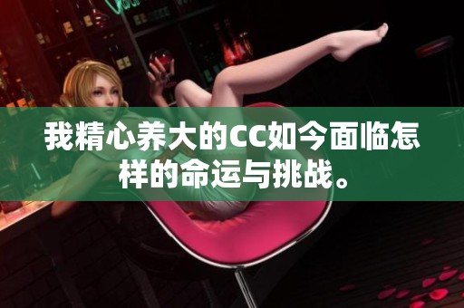 我精心养大的CC如今面临怎样的命运与挑战。