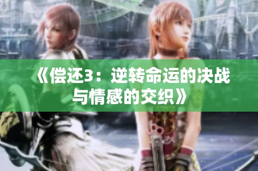 《偿还3：逆转命运的决战与情感的交织》