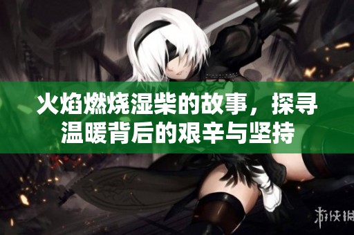 火焰燃烧湿柴的故事，探寻温暖背后的艰辛与坚持