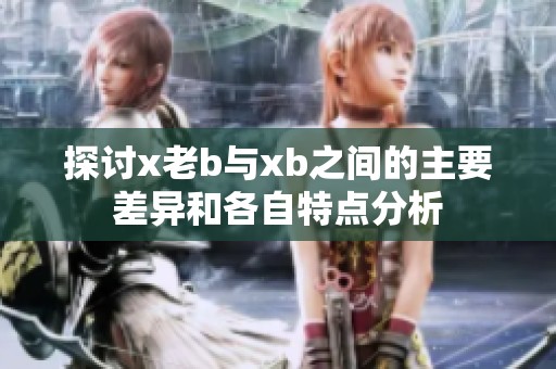 探讨x老b与xb之间的主要差异和各自特点分析