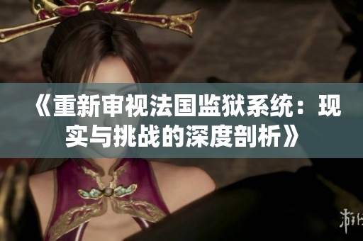 《重新审视法国监狱系统：现实与挑战的深度剖析》