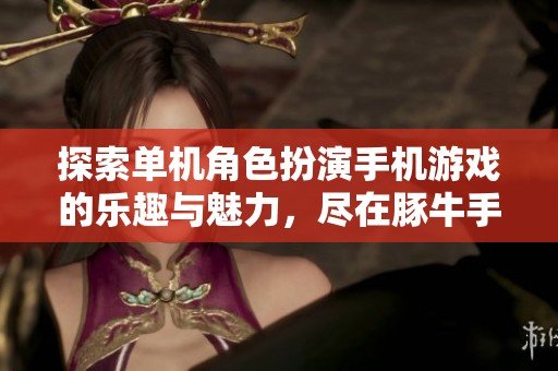 探索单机角色扮演手机游戏的乐趣与魅力，尽在豚牛手游网