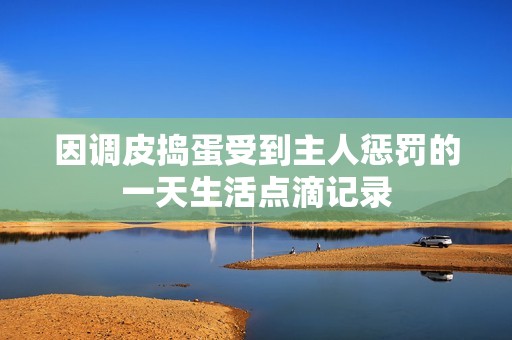因调皮捣蛋受到主人惩罚的一天生活点滴记录
