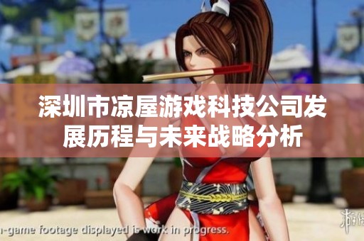 深圳市凉屋游戏科技公司发展历程与未来战略分析