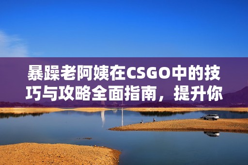 暴躁老阿姨在CSGO中的技巧与攻略全面指南，提升你的游戏水平与乐趣