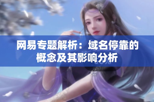 网易专题解析：域名停靠的概念及其影响分析