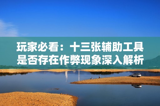玩家必看：十三张辅助工具是否存在作弊现象深入解析