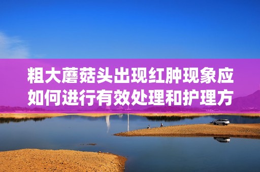 粗大蘑菇头出现红肿现象应如何进行有效处理和护理方法详解(1)