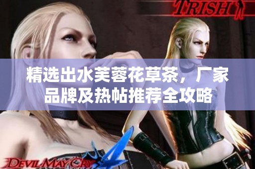 精选出水芙蓉花草茶，厂家品牌及热帖推荐全攻略