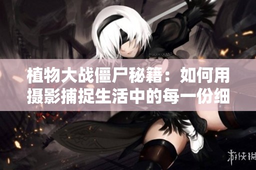 植物大战僵尸秘籍：如何用摄影捕捉生活中的每一份细腻瞬间