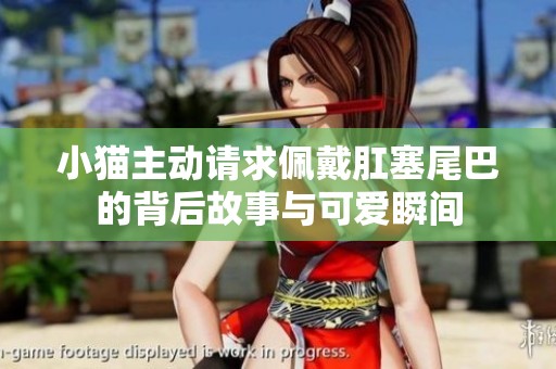 小猫主动请求佩戴肛塞尾巴的背后故事与可爱瞬间