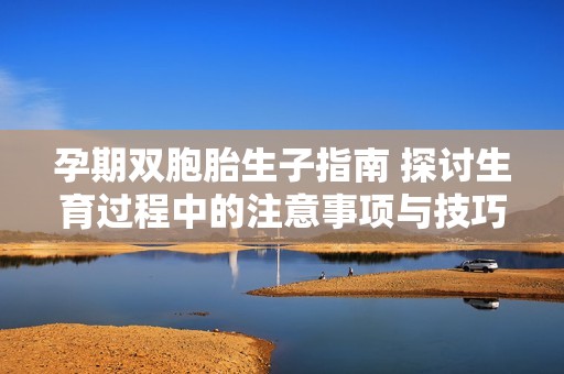 孕期双胞胎生子指南 探讨生育过程中的注意事项与技巧