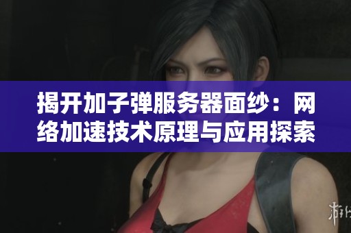 揭开加子弹服务器面纱：网络加速技术原理与应用探索