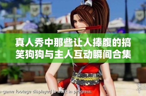 真人秀中那些让人捧腹的搞笑狗狗与主人互动瞬间合集